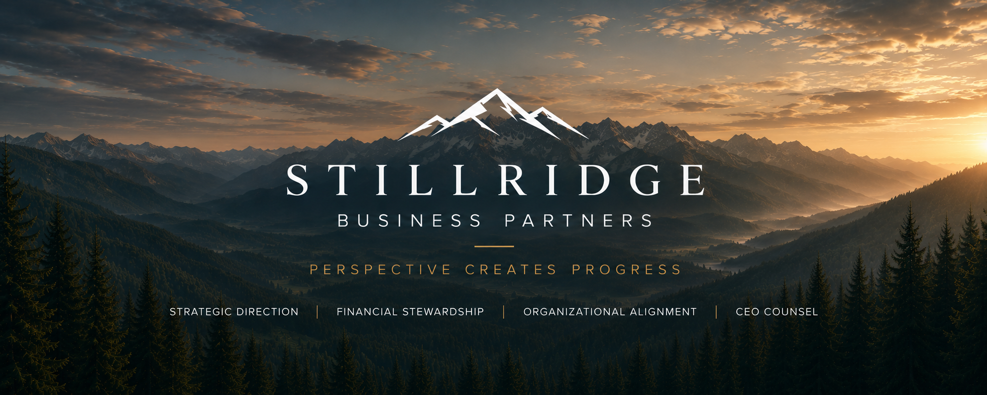 Perspective Creates Progress — Strategic Direction, Financial Stewardship, Organizational Alignment, CEO Counsel